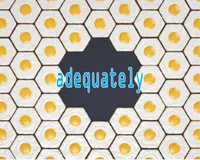 Definition & pronunciation of adequately