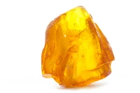 Definition & pronunciation of amber