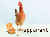 Definition & pronunciation of apparent