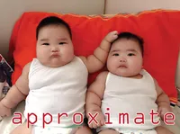 Definition & pronunciation of approximate