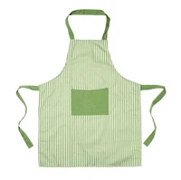 Definition & pronunciation of apron