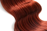 Definition & pronunciation of auburn