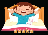 Definition & pronunciation of awake