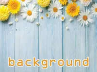 Definition & pronunciation of background