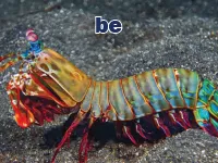 Definition & pronunciation of be