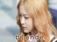 Definition & pronunciation of blonde