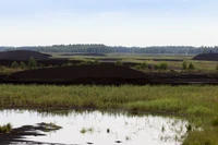 Definition & pronunciation of bog