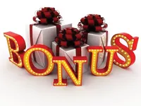 Definition & pronunciation of bonus