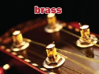 Definition & pronunciation of brass