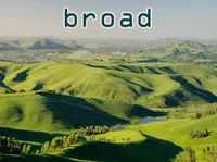 Definition & pronunciation of broad