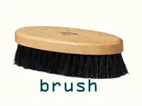 Definition & pronunciation of brush