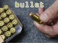 Definition & pronunciation of bullet