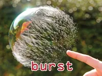 Definition & pronunciation of burst