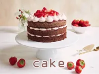 Definition & pronunciation of cake