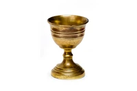 Definition & pronunciation of chalice