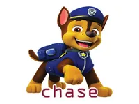 Definition & pronunciation of chase
