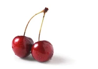 Definition & pronunciation of cherry