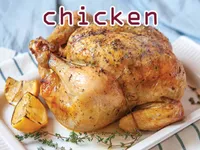 Definition & pronunciation of chicken