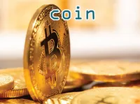 Definition & pronunciation of coin