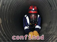 Definition & pronunciation of confined