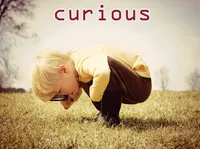Definition & pronunciation of curious