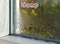 Definition & pronunciation of damp