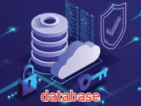 Definition & pronunciation of database