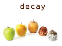 Definition & pronunciation of decay