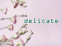 Definition & pronunciation of delicate