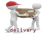 Definition & pronunciation of delivery