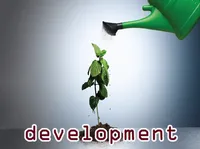 Definition & pronunciation of development