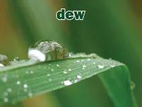 Definition & pronunciation of dew