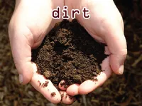 Definition & pronunciation of dirt