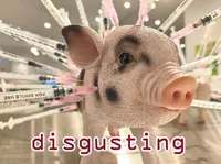 Definition & pronunciation of disgusting