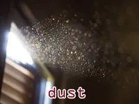 Definition & pronunciation of dust