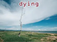 Definition & pronunciation of dying