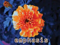 Definition & pronunciation of emphasis