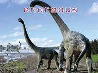 Definition & pronunciation of enormous