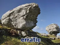 Definition & pronunciation of erratic