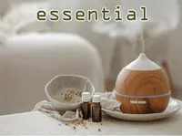 Definition & pronunciation of essential
