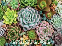 Definition & pronunciation of existence