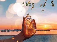 Definition & pronunciation of fact