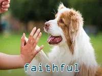 Definition & pronunciation of faithful
