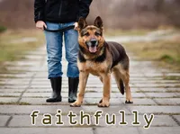 Definition & pronunciation of faithfully