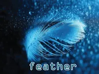 Definition & pronunciation of feather