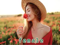 Definition & pronunciation of female