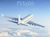 Definition & pronunciation of flight