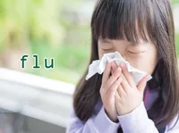 Definition & pronunciation of flu