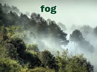 Definition & pronunciation of fog