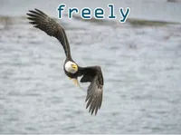 Definition & pronunciation of freely